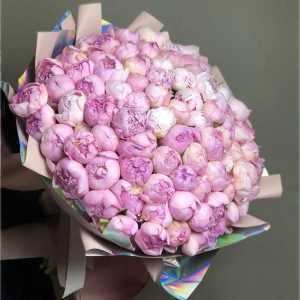 tsvety-v-korobke-akyyarlar---vsegda-s-toboy